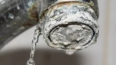 蛇口から再び水が勢いよく出るようになる：フィルターの石灰スケールを素早く取り除く方法